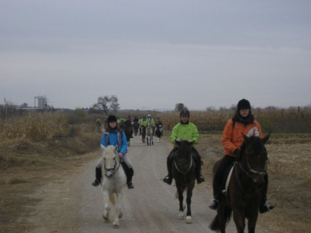 Disfrua de una ruta unica
